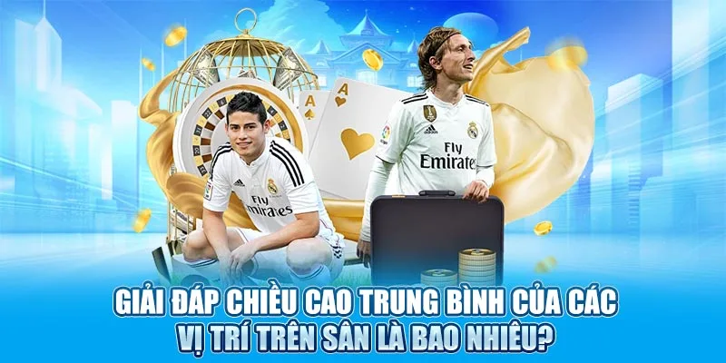 Giải đáp chiều cao trung bình của các vị trí trên sân là bao nhiêu?