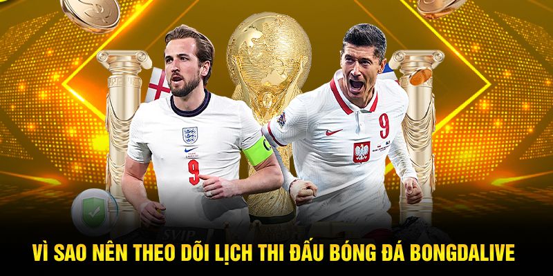 Vì sao nên theo dõi lịch thi đấu bóng đá Bongdalive