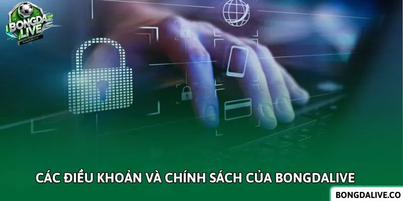 Các Điều Khoản Và Chính Sách Của Bongdalive