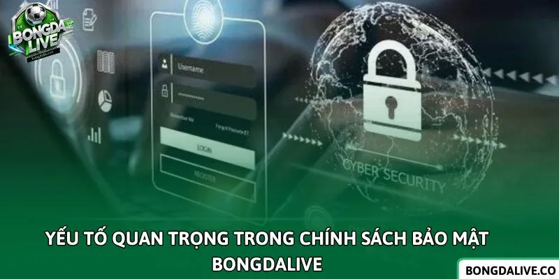 Yếu Tố Quan Trọng Trong Chính Sách Bảo Mật Bongdalive